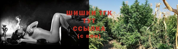 кокс Ладушкин