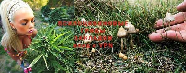 2c-b Лабытнанги