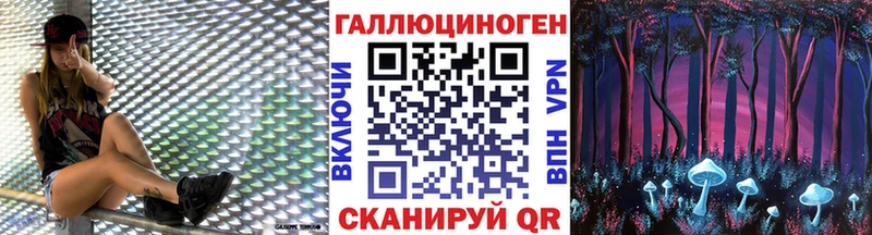 Псилоцибиновые грибы MAGIC MUSHROOMS  Купить закладки  Канаш 