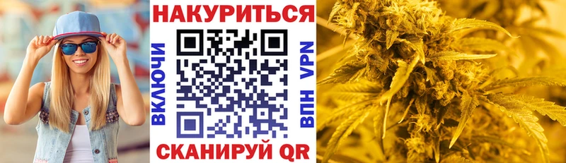 Конопля SATIVA & INDICA  Купить закладки  Канаш 